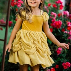 SOLD Taylor Joelle Belle inspired dress